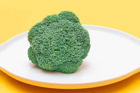 Fresh and Raw Broccoli on White Dish. Uncooked Green Cabbage. Vegan and Vegetarian Culture. Raw Food. Healthy Eating and Vegetable Dietの写真素材