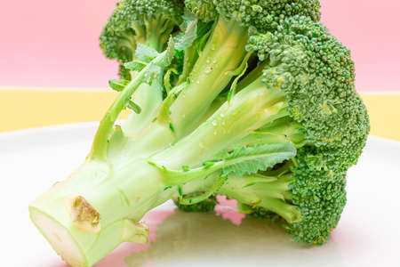 Fresh and Raw Broccoli on White Dish. Uncooked Green Cabbage. Vegan and Vegetarian Culture. Raw Food. Healthy Eating and Vegetable Dietの写真素材