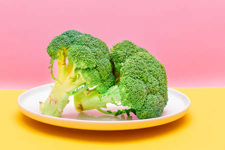 Two Fresh and Raw Pieces of Broccoli on White Plate. Uncooked Green Cabbage. Vegan and Vegetarian Culture. Raw Food. Healthy Eating and Vegetable Dietの写真素材