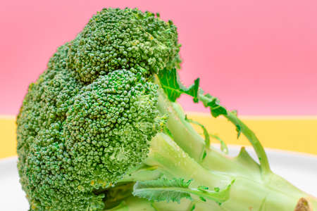 Fresh and Raw Broccoli Against the Pink Background. Uncooked Green Cabbage. Vegan and Vegetarian Culture. Raw Food. Healthy Eating and Vegetable Dietの写真素材