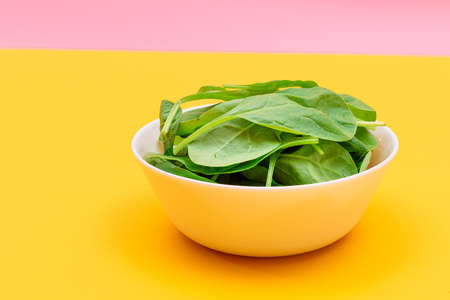 Fresh Baby Spinach Leaves in White Bowl on Yellow Background. Vegan and Vegetarian Culture. Raw Food, Green Leaves. Healthy Dietの写真素材
