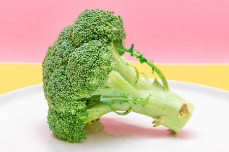 Fresh and Raw Broccoli on White Dish. Uncooked Green Cabbage. Vegan and Vegetarian Culture. Raw Food. Healthy Eating and Vegetable Dietの写真素材