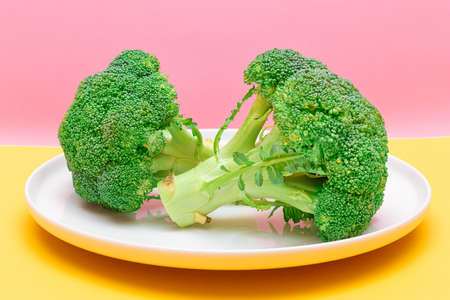 Two Fresh and Raw Pieces of Broccoli on White Plate. Uncooked Green Cabbage. Vegan and Vegetarian Culture. Raw Food. Healthy Eating and Vegetable Dietの写真素材