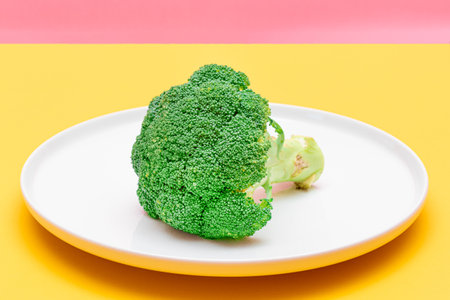 Fresh and Raw Broccoli on White Dish. Uncooked Green Cabbage. Vegan and Vegetarian Culture. Raw Food. Healthy Eating and Vegetable Dietの写真素材