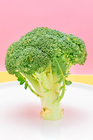 Fresh and Raw Broccoli on White Dish. Uncooked Green Cabbage. Vegan and Vegetarian Culture. Raw Food. Healthy Eating and Vegetable Dietの写真素材