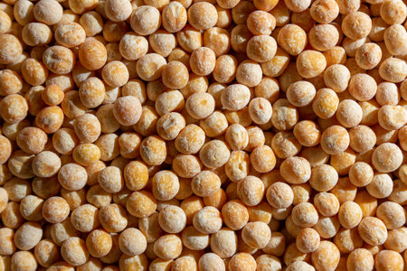 Uncooked Yellow Polished Peas Background. A Culinary Canvas of Dry Yellow Peas, Creating a Lively and Textured Background for Gourmet Cooking. Scattered Raw Polished Peas. Healthy Eating Ingredientsの写真素材