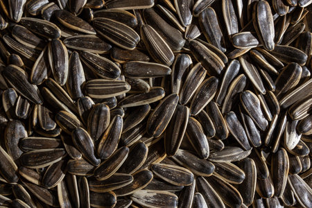 Non Salty Roasted Sunflower Seeds in Shell: A Culinary Canvas of Sunflower Kernels, Creating a Lively and Textured Background for Gourmet Cooking. Scattered Sun Flower Seeds - Top View, Flat Layの写真素材
