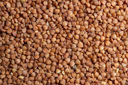 Dry Uncooked Brown Buckwheat Groats Background - Top View, Flat Lay. Raw Large Buckwheat Grains. Russian, Ukrainian and Belarusian Cultureの写真素材