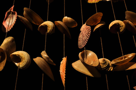 Shell mobile