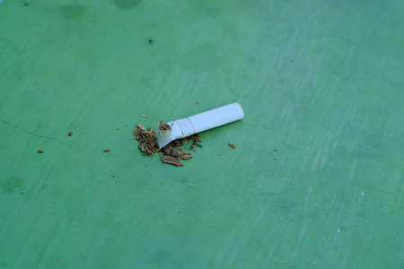 Cigarette on green banana leaf, closeup of photo.の写真素材