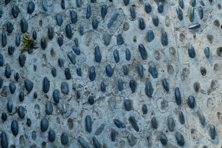 Blue metal floor texture with small plant. Abstract background and texture for design.の写真素材
