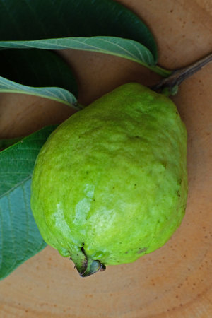 guava fruit on wood background. Green guava fruit with leaf.の写真素材