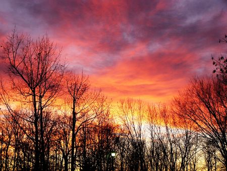 Colorful sunset above silhouetted treesの写真素材