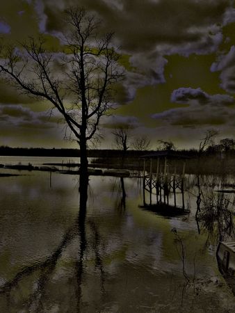 Dark nature photo with a 3D feel to it.の写真素材