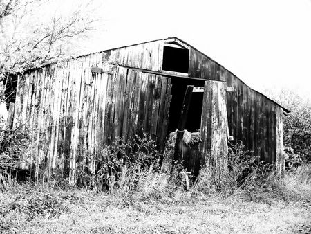 High Contrast Black and White of a very old barnの写真素材