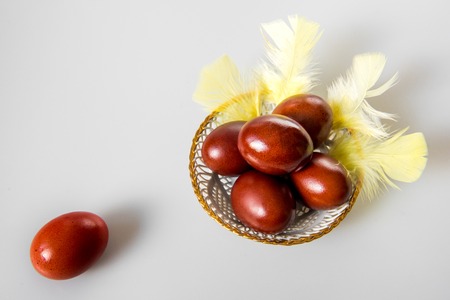 Easter eggs painted in natural onion bark and yellow feathers isolated on a whiteの写真素材
