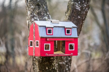 The red birdhouse on a tree in spring forest background