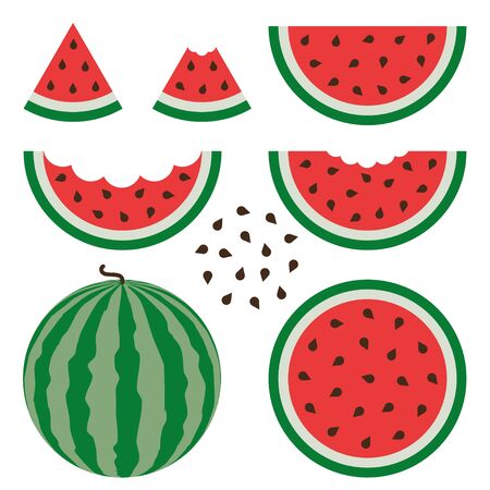 Watermelon signs vector set on white background.のイラスト素材