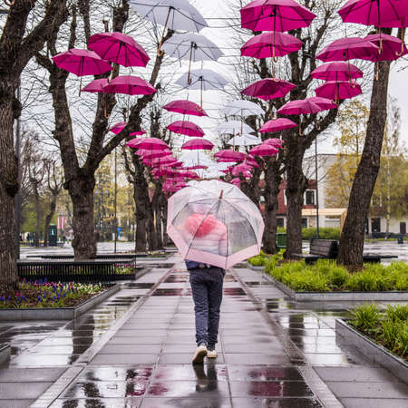 Ogre city is decorated with red and white umbrellas. Ogre. Latvia. May 2, 2020.のeditorial素材
