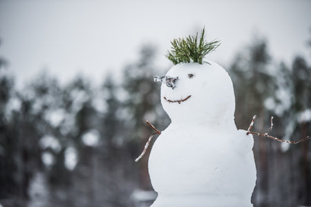 Funny snowman. Making a snowman, first snow.の写真素材