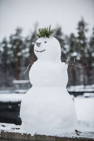 Beautiful snowman. Making a snowman. The first snow in Europe. Making a snowman.