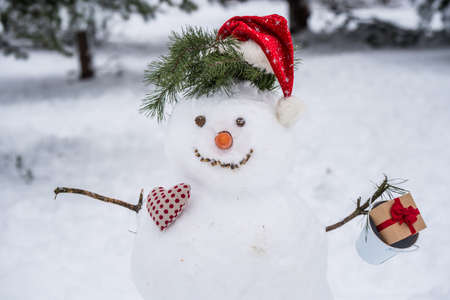 Funny snowman in a forest. Snowman in santa hatの写真素材