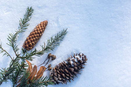 Christmas ornament with cones on white snow backgroundの写真素材