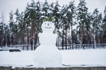 Beautiful snowman. Making a snowman, first snow.の写真素材