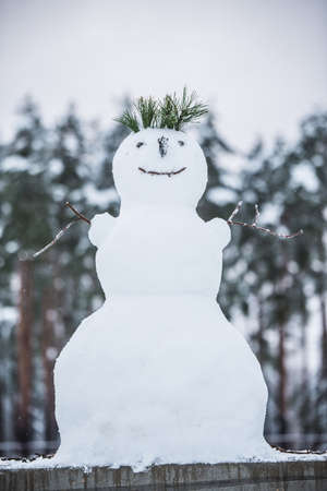 Beautiful snowman. Making a snowman, first snow.の写真素材