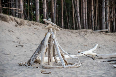 Stacked light trees and branches by the sea, like a wigwam or a bonfire. Natural landscape in Latvia, Carnikavaの写真素材