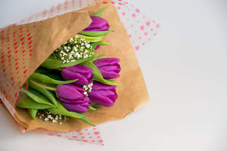 Fresh spring purple tulips on old vintage paper on white background, copy spaceの写真素材