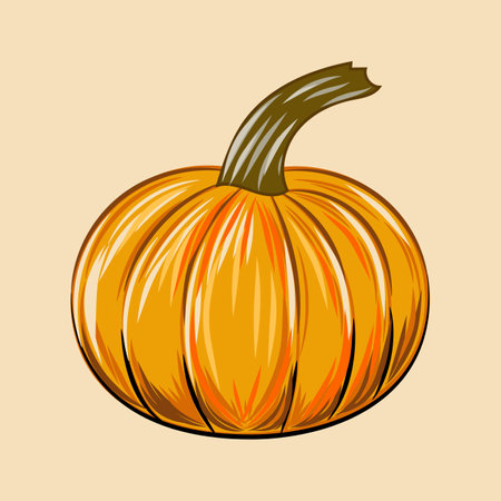 Orange pumpkin vector illustration. Autumn halloween or thanksgiving pumpkin, vegetable graphic iconのイラスト素材
