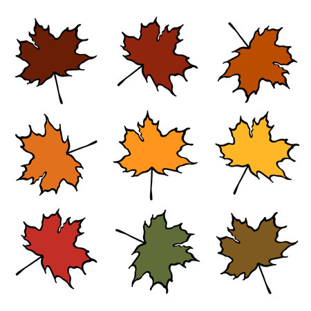 Set of vector maple leaves of different colors on a white background. Autumn maple tree leafのイラスト素材