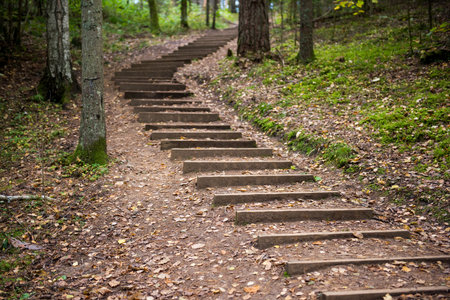 Step stairs in autumn forest park, Latvia Ligatneの写真素材