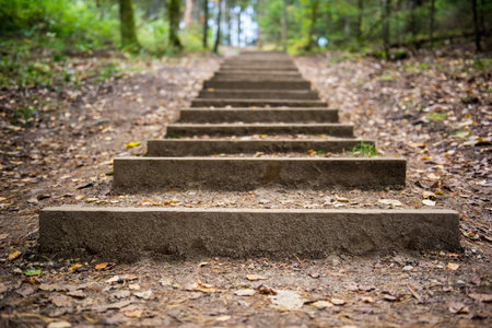 Step stairs in autumn forest park, Latvia Ligatneの写真素材