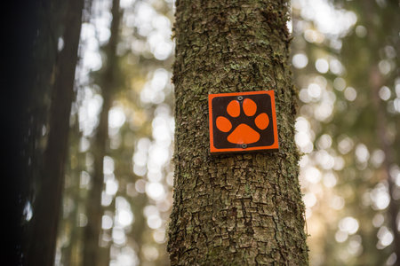 Animal paw sign on a tree. Ligatnes nature trails. Sign symbolizes that animals are near byの写真素材