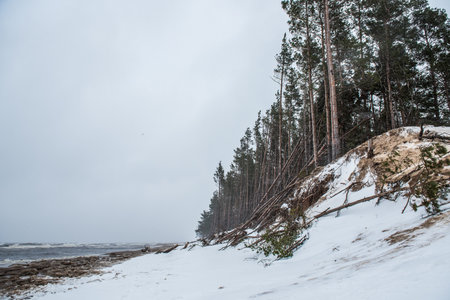 Baltic Sea wild beach is snowy in winter and there are big wavesの写真素材