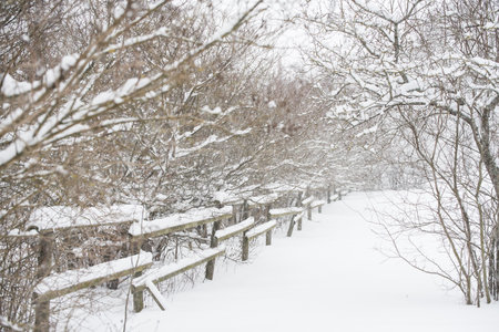 Wooden fence in the snow on winter country backgroundの写真素材