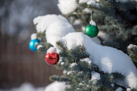 Christmas tree toys covered with snow. Christmas tree branches with New Years ballsの写真素材