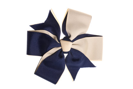 Blue white bow, isolated on white backgroundの写真素材