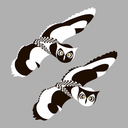 Pair of stylized eagle owls. Flying two owls on a grey backround. Opened wings. Black and white plumage. Abstract birds for design of t-shirt, bag, tattoo, coloring, print, postcard, poster, stamping.のイラスト素材