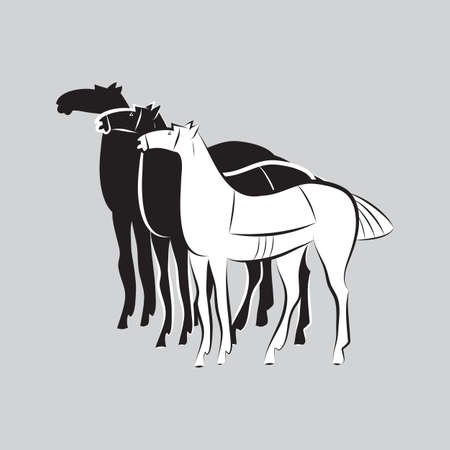 Three saddled standing horses. Black and white stallions silhouettes on gray background. Minimalistic style. Horse  . Design idea for stable, farm, equestrian competition. Vector illustration EPS10のイラスト素材