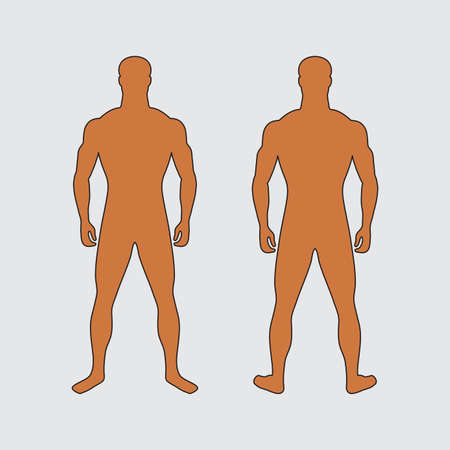 Adult man front view and back view. Human silhouette. Standard male figure. Yellow skin color. Standing slender isolated man. Correct physique and body proportions. Unknown impersonal character.のイラスト素材