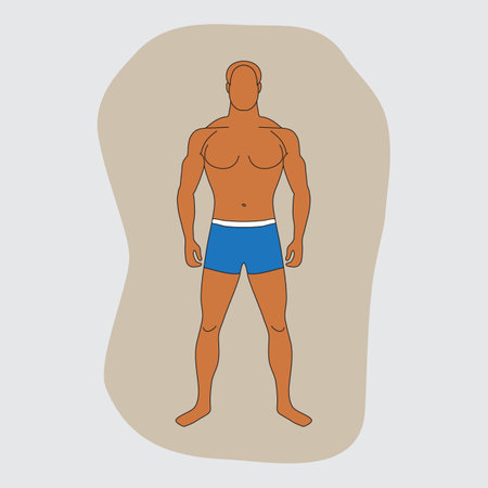 Tanned man in blue swimming trunks. human silhouette with slender figure. Bronze-colored body. Male person with normal weight. Adult character with moderate body fat. Diet and healthy lifestyle resultsのイラスト素材