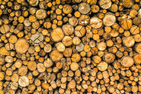 Stack of logs chopped treesの写真素材