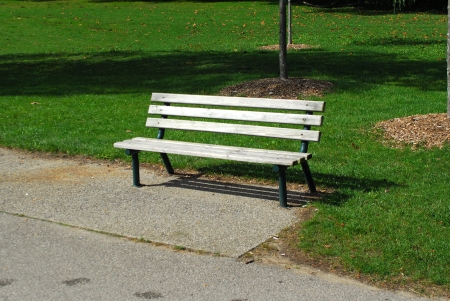 Empty gray wooden park bench in summer.の写真素材