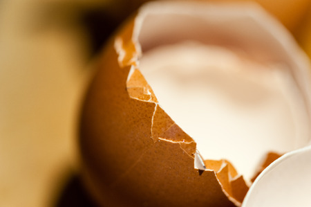 Macro close-up of edge of empty cracked brown egg shell against brown background.