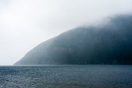 Edge of forested mountain and cliffs meeting water in foggy wet weather, in Newfoundland, Canada.の写真素材