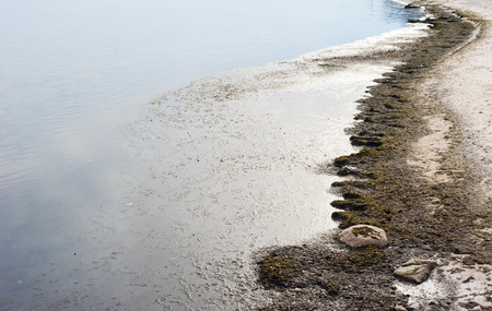Beach with dirty algae by still water with a couple of rocks in foreground.