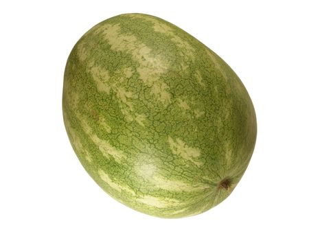 A whole watermelon isolated on white backgroundの写真素材
